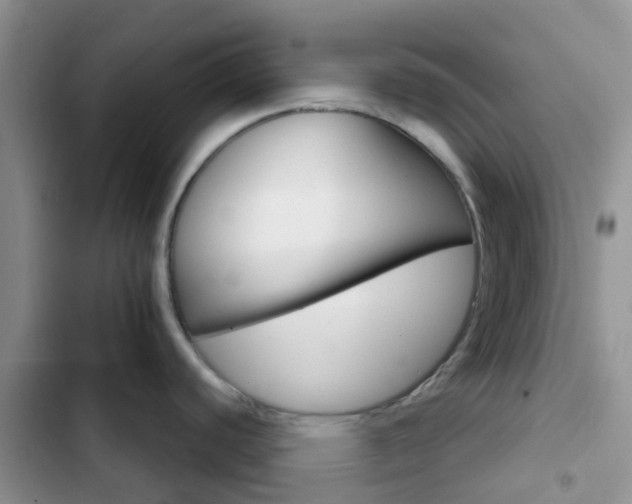 X0000102771440200808251041