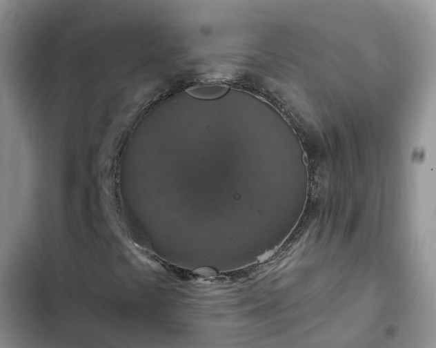 X0000102771441200808251041