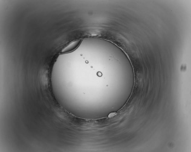 X0000102771442200808251041