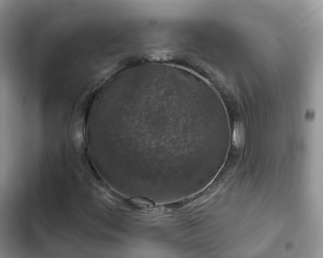 X0000102771444200808251041