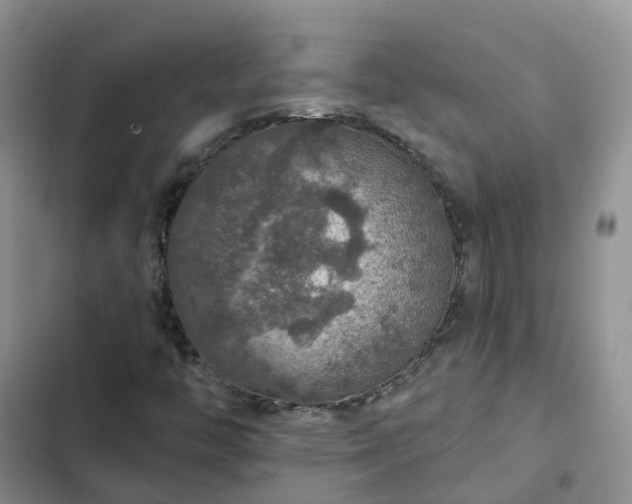 X0000102771446200808251041