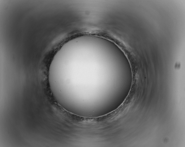 X0000102771447200808251041