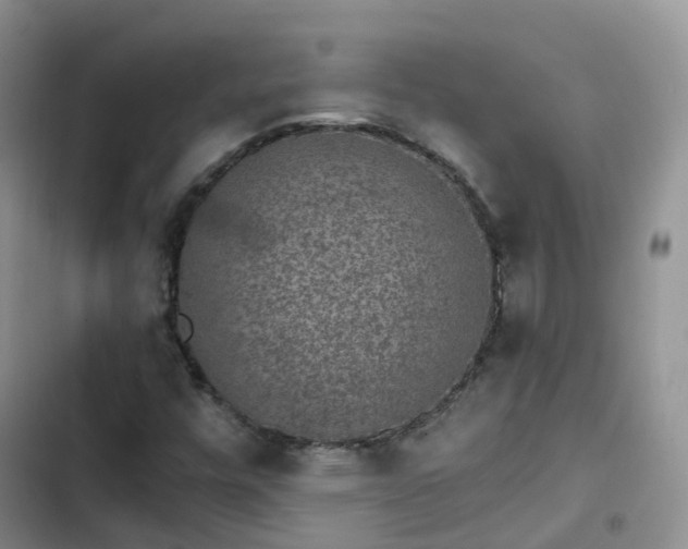 X0000102771448200808251041