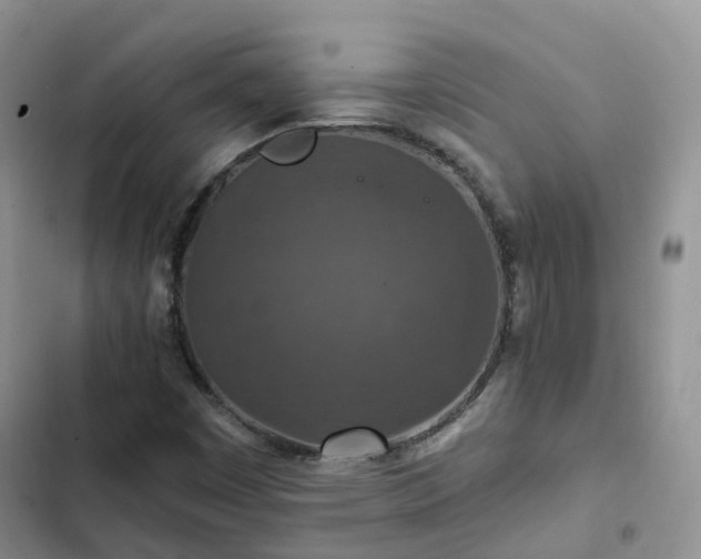 X0000102771449200808251041