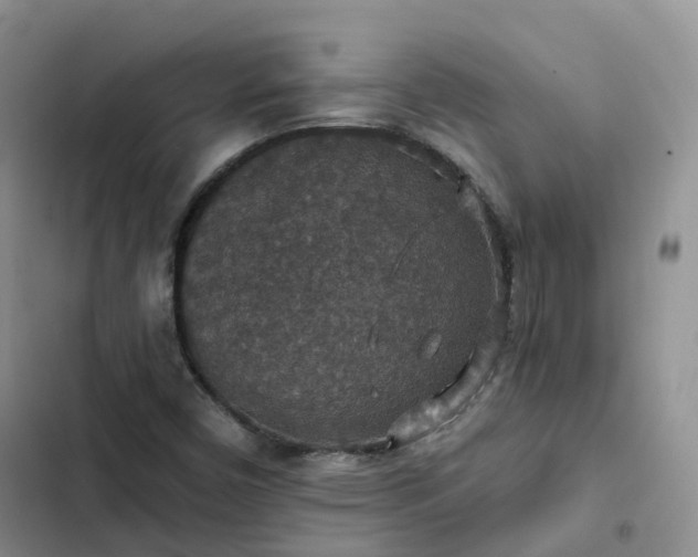 X0000102771450200808251041