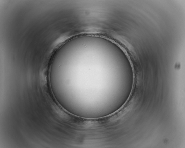 X0000102771451200808251040