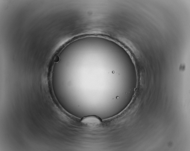 X0000102771452200808251040