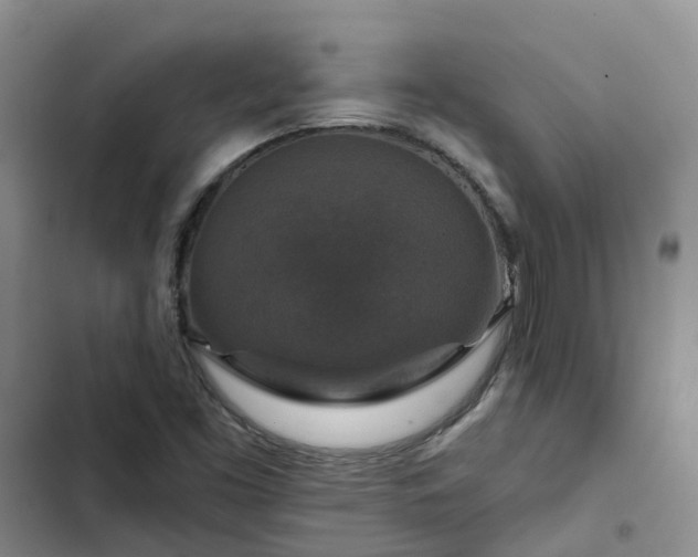 X0000102771453200808251040