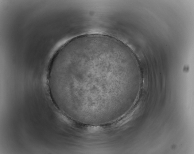 X0000102771454200808251040