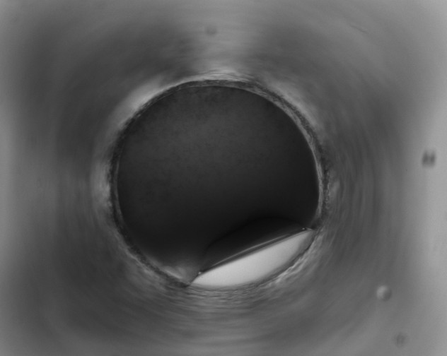 X0000102771455200808251040