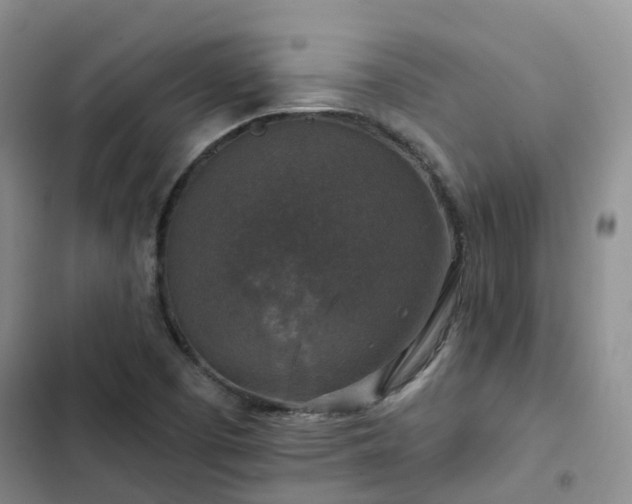 X0000102771457200808251040