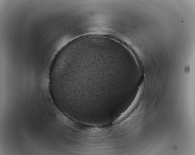 X0000102771459200808251040