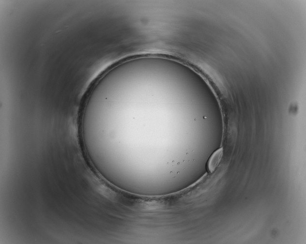 X0000102771460200808251040