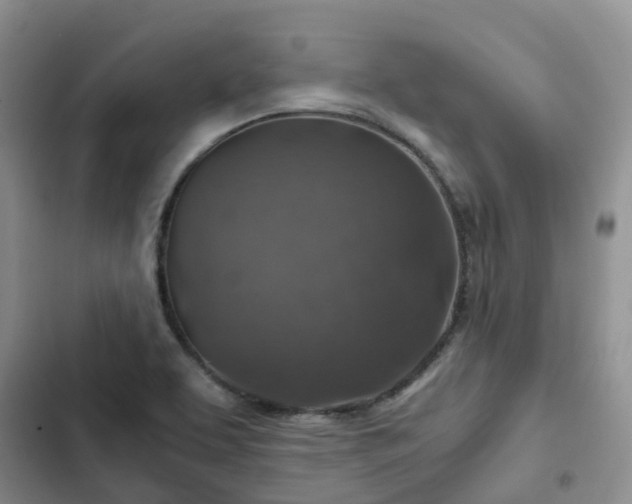 X0000102771463200808251040