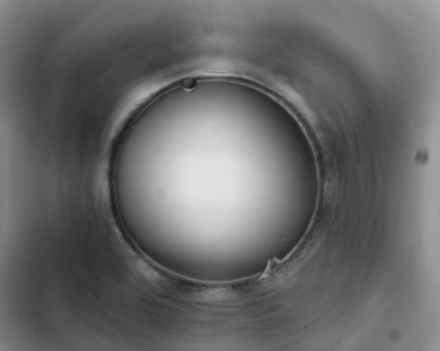 X0000102771464200808251040