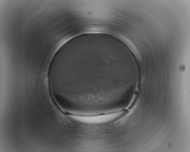 X0000102771465200808251040