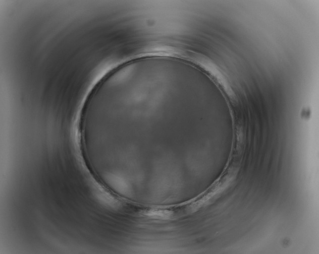 X0000102771466200808251040