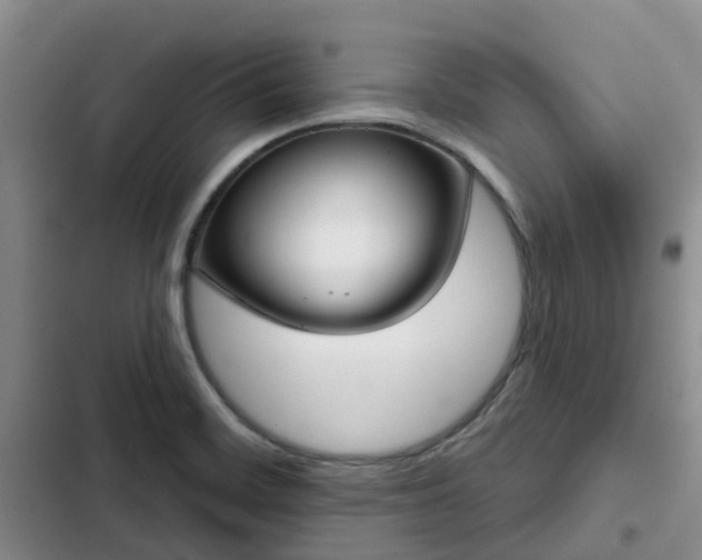 X0000102771468200808251040