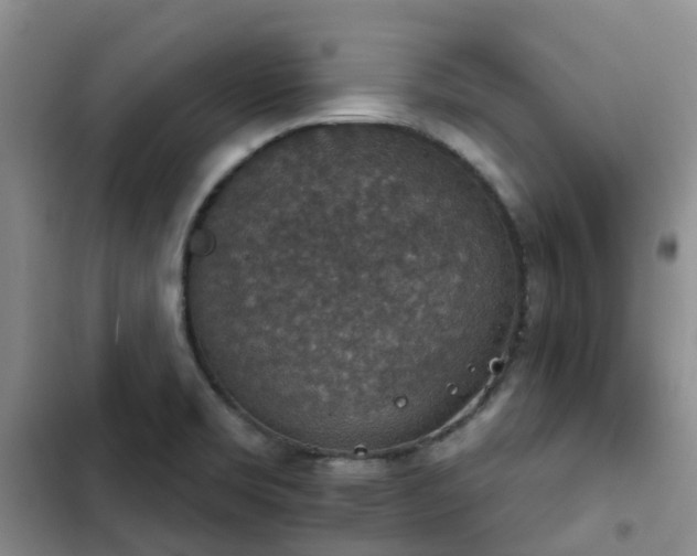 X0000102771469200808251040