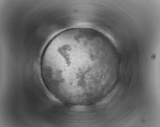 X0000102771470200808251040