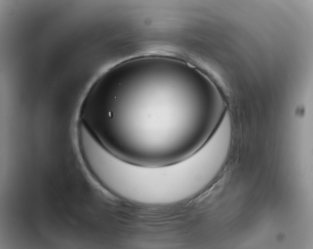 X0000102771471200808251040