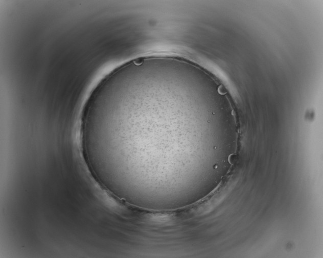 X0000102771472200808251040