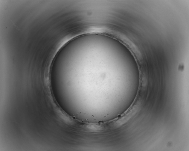 X0000102771473200808251040