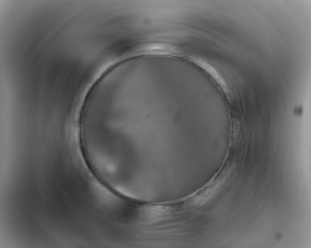 X0000102771474200808251040