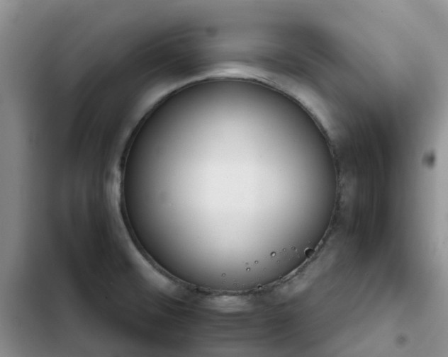 X0000102771476200808251040