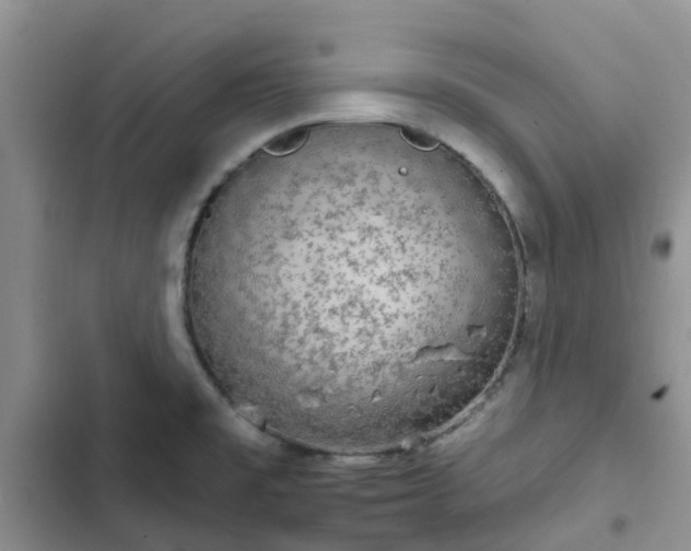 X0000102771477200808251040