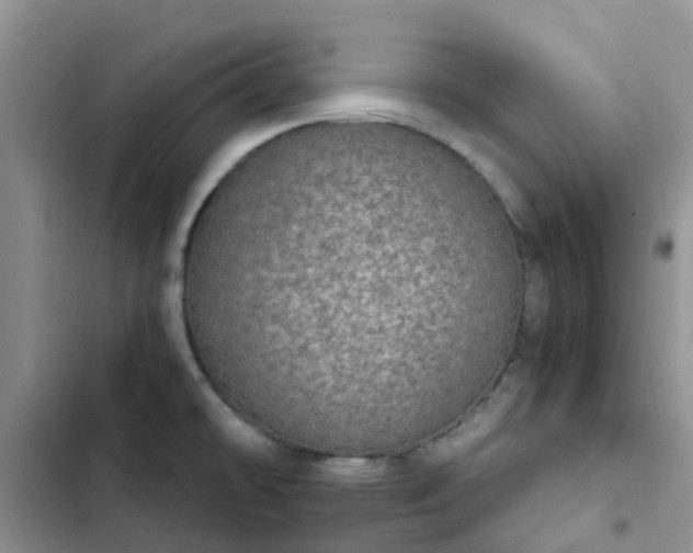 X0000102771478200808251040