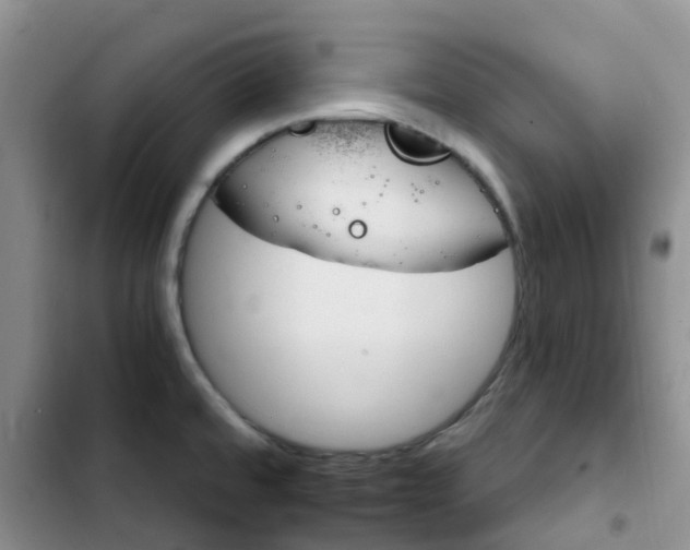 X0000102771480200808251040