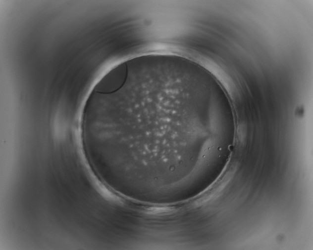 X0000102771482200808251040