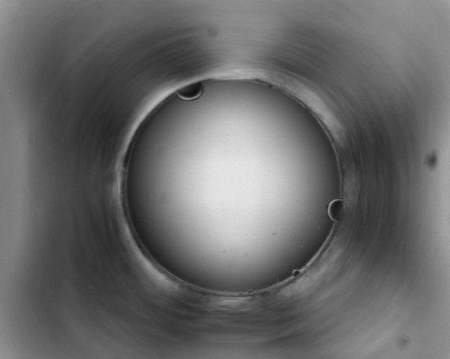 X0000102771484200808251040