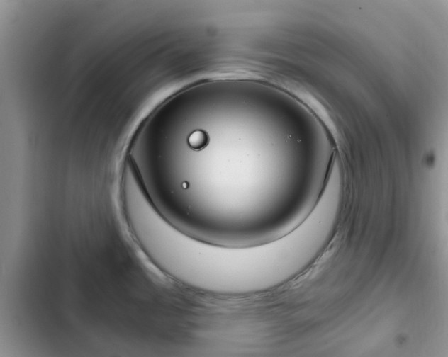 X0000102771485200808251040