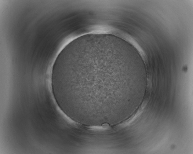 X0000102771487200808251040