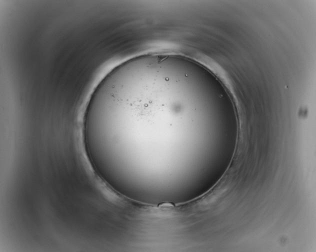 X0000102771488200808251040