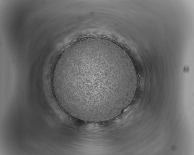 X0000102771489200808251039