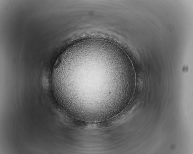 X0000102771490200808251039