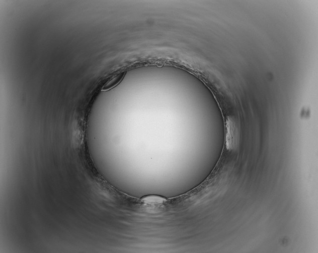 X0000102771491200808251039