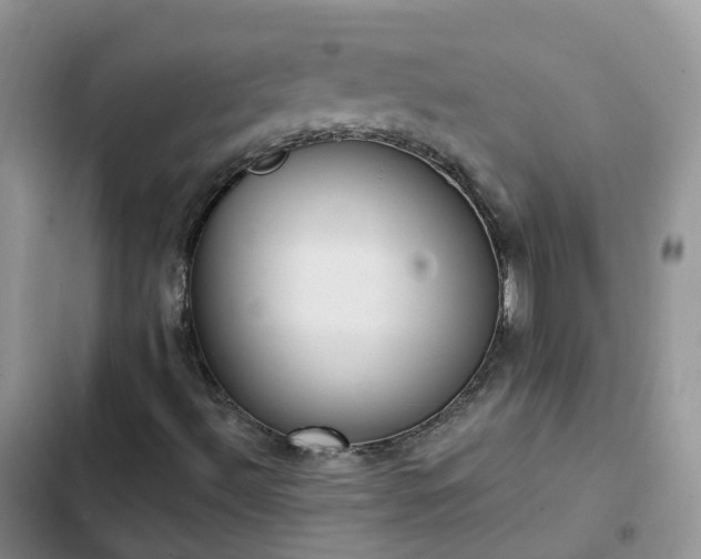 X0000102771492200808251039