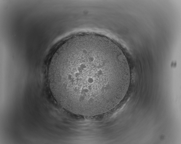 X0000102771494200808251039