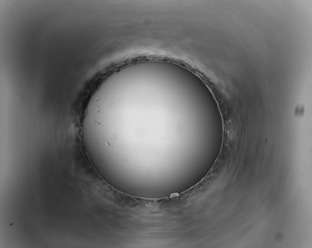 X0000102771495200808251039