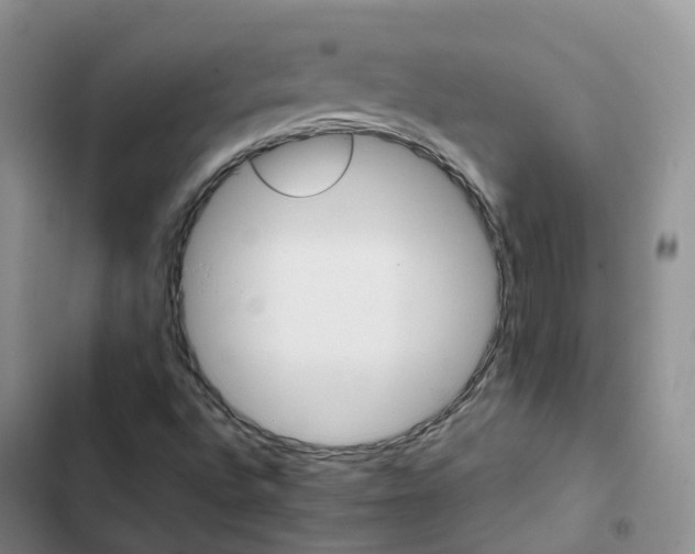 X0000102771496200808251039