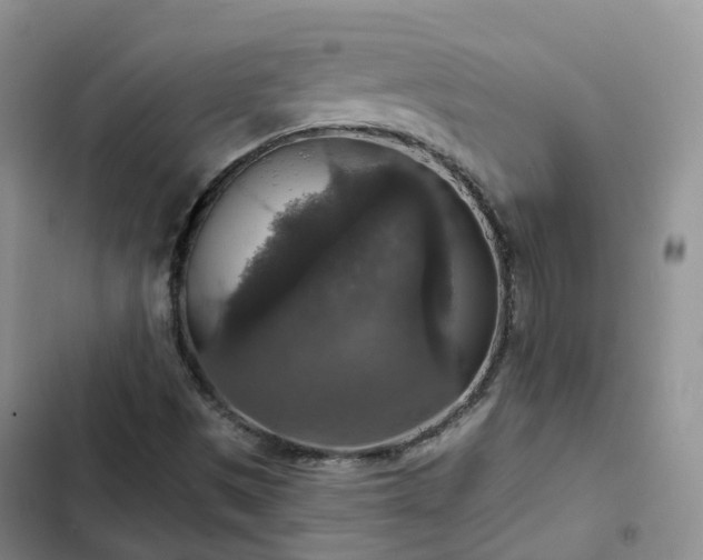 X0000102771497200808251039