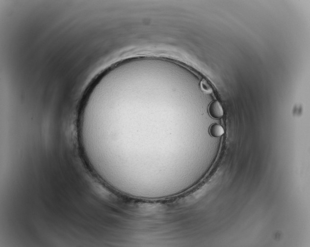 X0000102771498200808251039