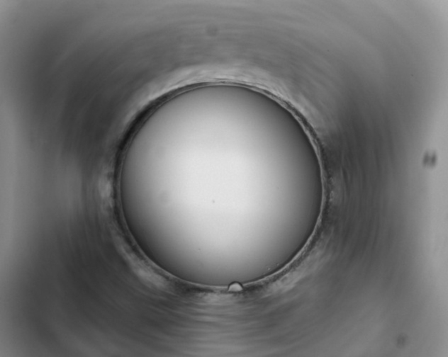 X0000102771499200808251039