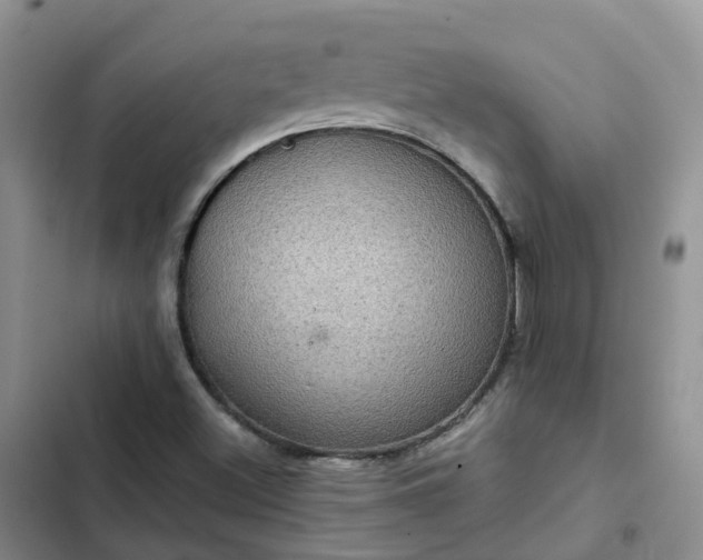 X0000102771500200808251039