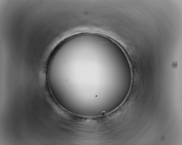 X0000102771503200808251040