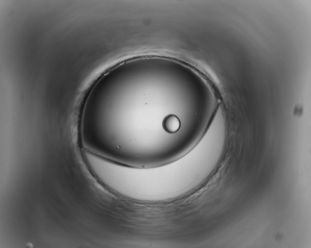 X0000102771504200808251040